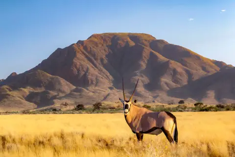 Namibia | XL Travel Today